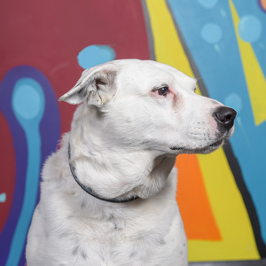 Fundraising Page: pam styles